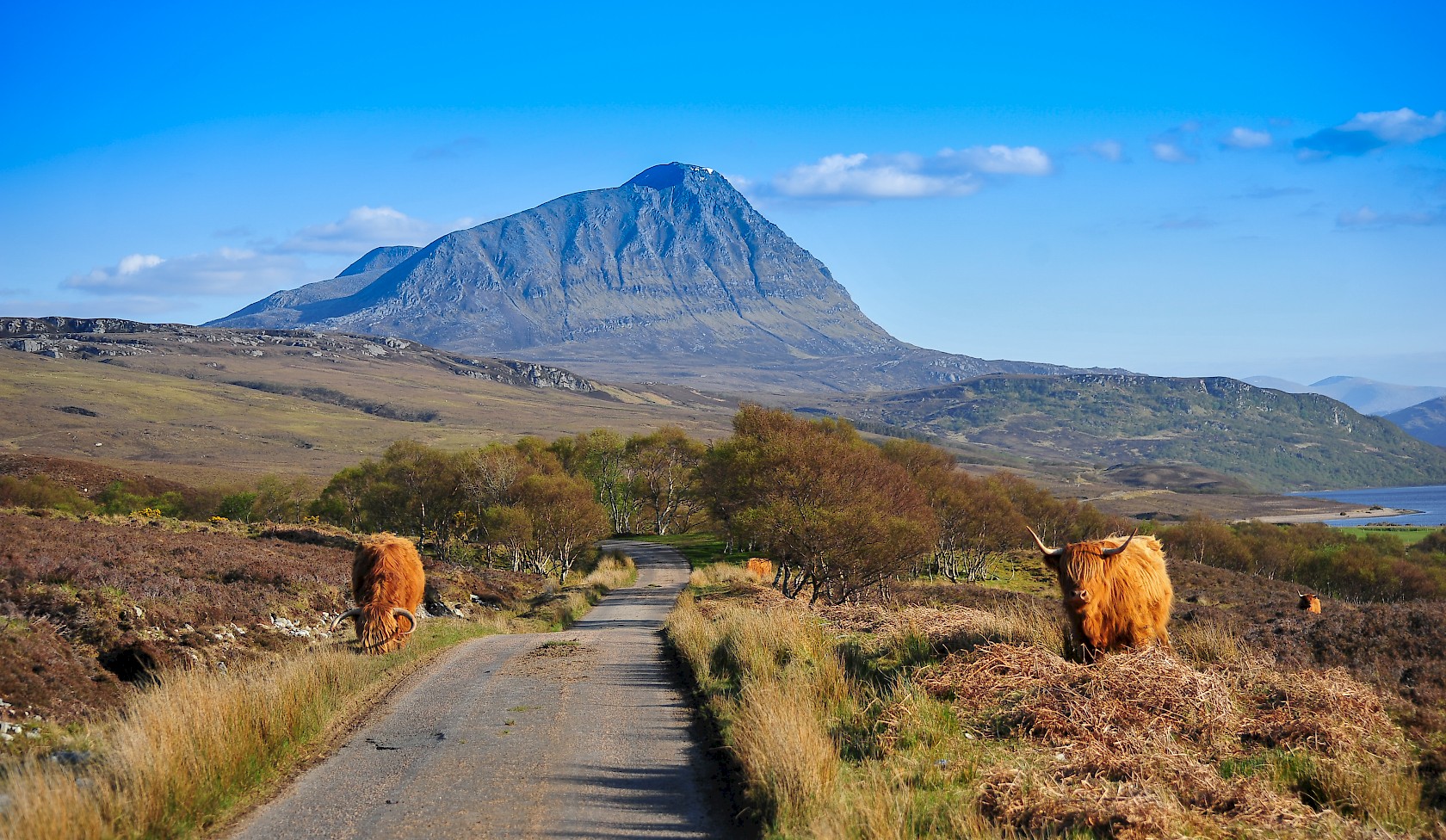 Caithness Sutherland Venture North